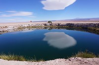 Ojos del salar