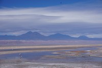 Laguna Chaxa