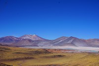 Salar de Talar