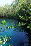 Carwash cenote