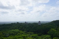 Tikal