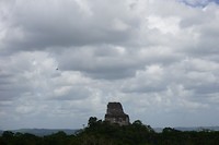 Hoog in de wolken