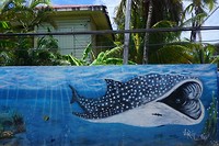 Muurschilderingen in Utila