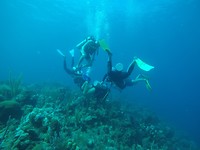 Laat het duiken beginnen!