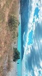 96229667-AD21-457A-98F5-DA64887865B8