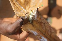 IMG_9171