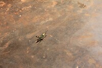 IMG_9174