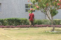 IMG_9248