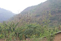 IMG_9255