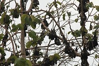 IMG_9256