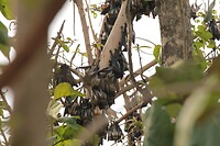 IMG_9258