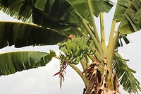 IMG_9259