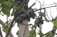 IMG_9260