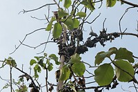 IMG_9261