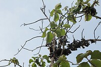 IMG_9262
