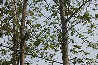 IMG_9264