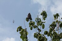 IMG_9265