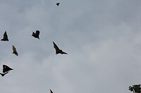 IMG_9268