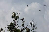 IMG_9269