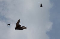 IMG_9270