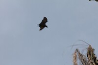 IMG_9271