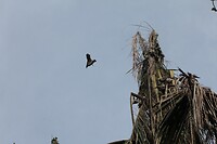 IMG_9272