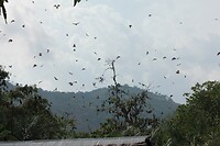 IMG_9273