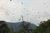 IMG_9274