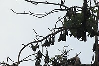 IMG_9275
