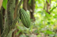IMG_9279