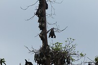 IMG_9283