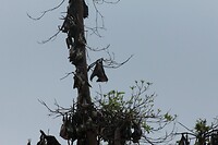 IMG_9284