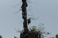 IMG_9285