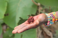 IMG_9287