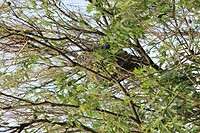 IMG_9288