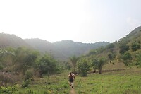 IMG_9292