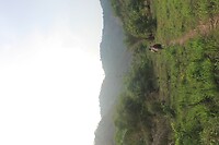IMG_9293