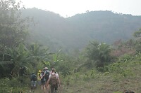 IMG_9297