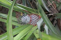 IMG_9303