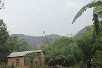IMG_9306