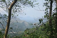 IMG_9310