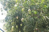 IMG_9322