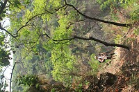 IMG_9326