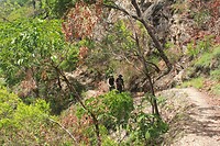 IMG_9329