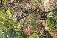 IMG_9330