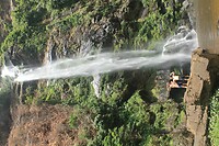 IMG_9331
