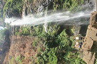 IMG_9337