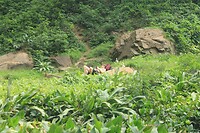 IMG_9341