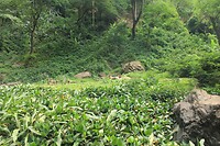IMG_9342