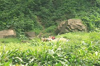 IMG_9344